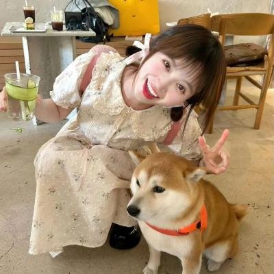 鲅鱼恋上猫